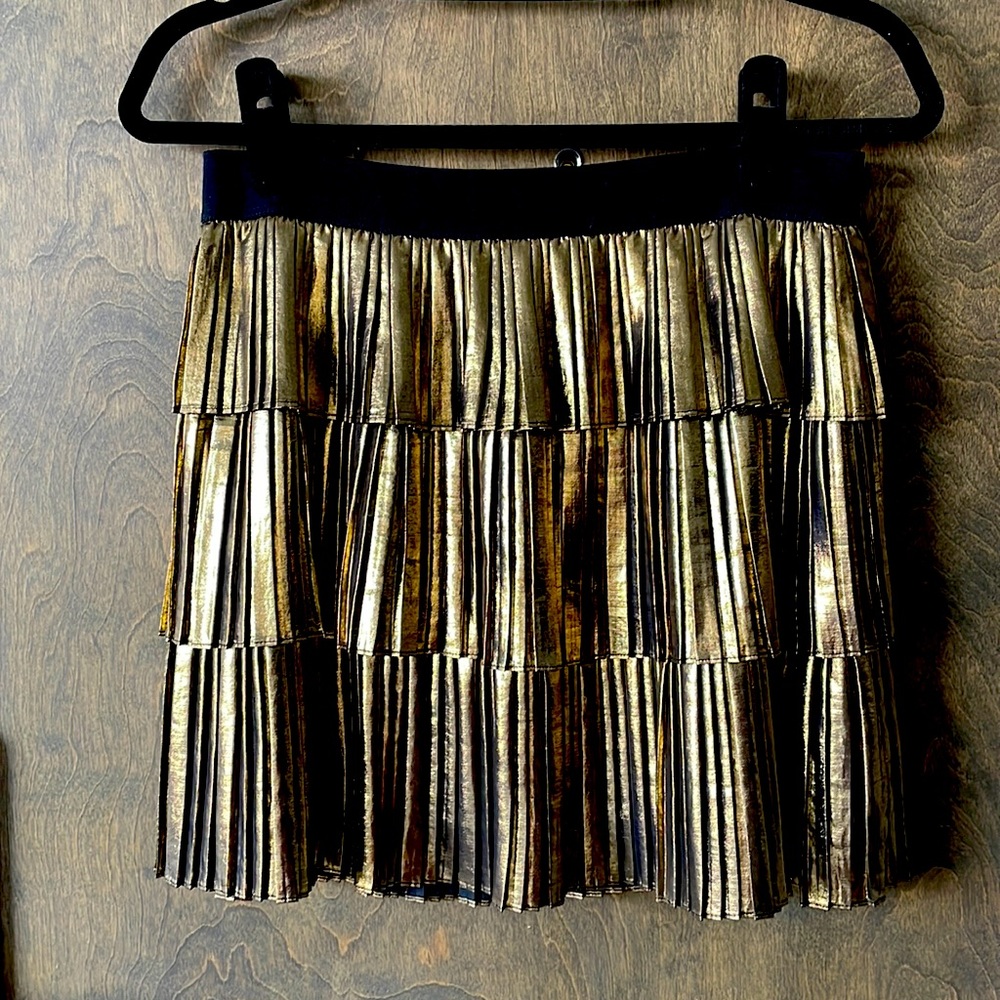 Pleated Mini Skirt